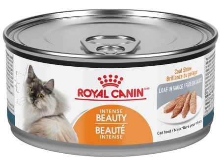 Conserve pour chat Royal Canin - Pâté en sauce Beauté Intense Hot on Sale