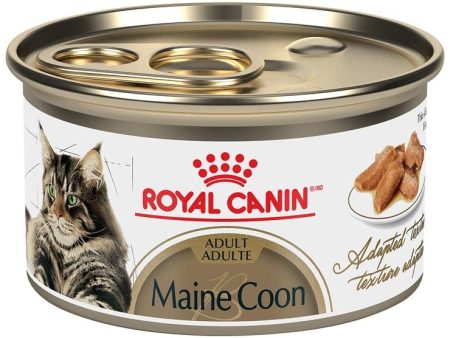 Conserve pour chat Royal Canin - Fines tranches en sauce MainCoon Online