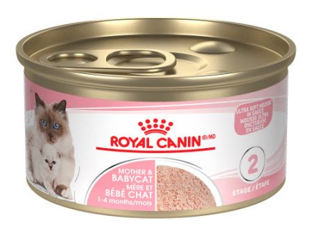 Conserve pour chat Royal Canin - Mousse ultra tendre mère et bébé chat Cheap