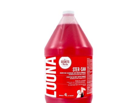 Loona Ster­-San Désinfectant (4L Concentré) Sale