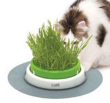 Catit 2.0 jardinière d herbe à chat à cultiver Online