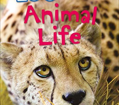 100 Facts Animal Life- Survival, Adaptation, Animal Kingdom, Educational Projects, Fun Activities, Quizzes and More! Online Sale