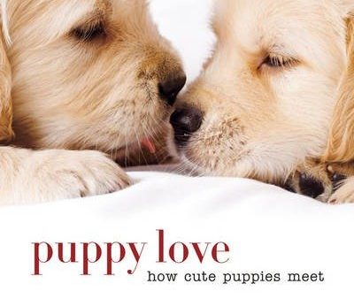 [ PUPPY LOVE: HOW CUTE PUPPIES MEET ] By Sterling Publishing Company ( Author) 2014 [ Hardcover ] For Cheap